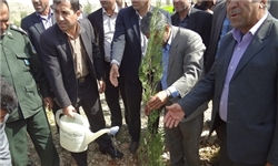 کاشت 20 هزار درخت در شهرستان انار
