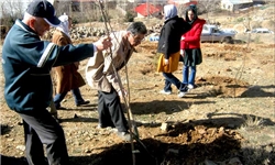 طرح درختکاری در توقف‌گاه‌های جاده‌ای در استان سمنان اجرا شد