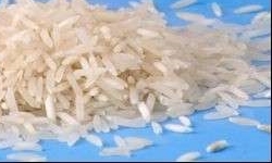 توزیع 40 هزار کیلوگرم بذر برنج پرمحصول در آمل