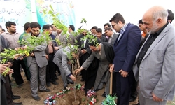 عملیات اجرایی بزرگترین بوستان درختان مثمر قرآنی در قم آغاز شد