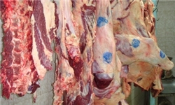 تولید گوشت قرمز در استان البرز به 32 هزار تن می‌رسد
