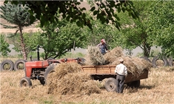 آتش زدن خرمن‎های گندم در «سرپل»/ کشته و زخمی شدن 71 طالب