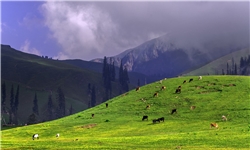 «کاغان»، سرزمین ابرها در پاکستان