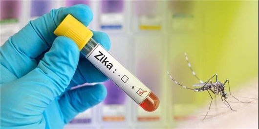 طراحی آزمایش پزشکی جدید برای تشخیص سریع ویروس «زیکا»