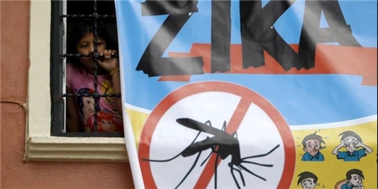 شمار مبتلایان به ویروس «زیکا» در کلمبیا 15.4 درصد افزایش یافت