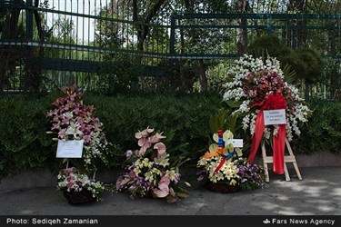 جشن روز ملی روسیه در تهران