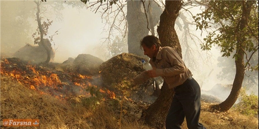 50 درصد آتش‌‌سوزی جنگل‌های کهگیلویه و بویراحمد در ایام تعطیل رخ می‌دهد