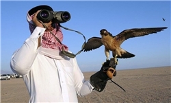 دستگیری شاهزادگان قطری به جرم شکار پرندگان کمیاب در پاکستان