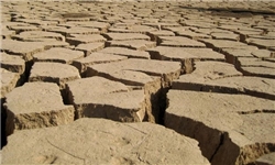 خشکسالی خراسان جنوبی پوشش‌های گیاهی را دچار آسیب کرده است