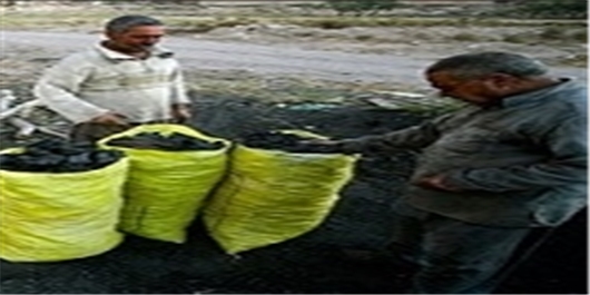 کشف 40 کیسه ذغال قاچاق در یاسوج