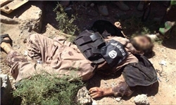 مرگ ۸۲ تکفیری در عملیات‌های الحشدالشعبی در «کرکوک»