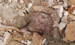آیا جسد مومیایی مربوط به رضاخان است؟/ جزئیاتی از ماجرای کشف مومیایی در شهرری