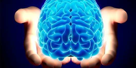 درمان اختلالات عصبی با توسعه « واسط‌های مغز رایانه » توسط محققان کشور