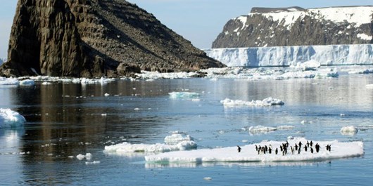 سرعت ذوب شدن یخ‌های قطب جنوب 3 برابر شد