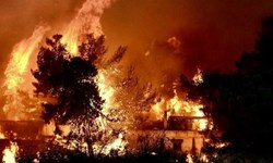 آتش سوزی جنگل‌های اطراف آتن حداقل 20 کشته و دهها مجروح برجای گذاشت