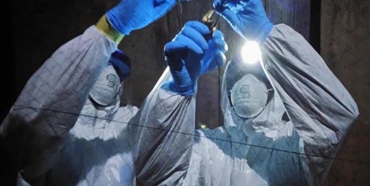 شناسایی نوع جدیدی از ویروس ابولا در سیرالئون