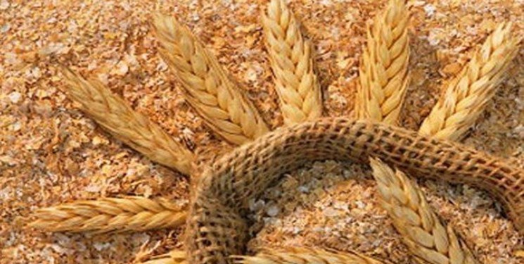 قیمت سبوس گندم 1250 تومان تعیین شد