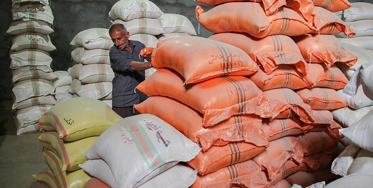 کشف ۱۶۱۰ تن برنج وارداتی  احتکار شده + فیلم