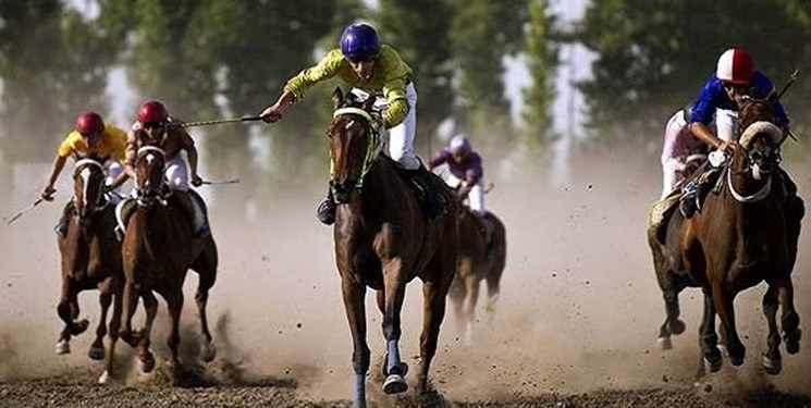 قهرمانی سوارکار بوشهری در مسابقات اسب سواری