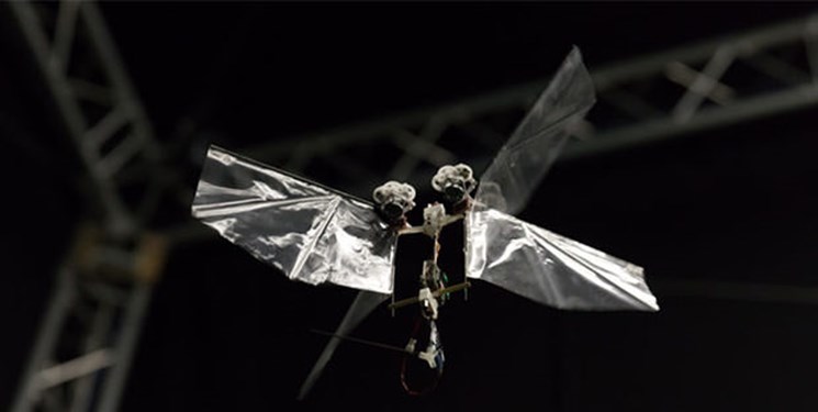 ساخت رباتی که مانند یک  حشره واقعی پرواز می‌کند