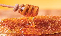پرداخت تسهیلات 3 میلیارد و 630 میلیون ریال به بخش زنبورداری در رامیان
