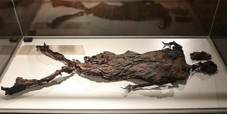 از «مومیایی» 2300 ساله تا «تبر دستی» 50هزار ساله + عکس