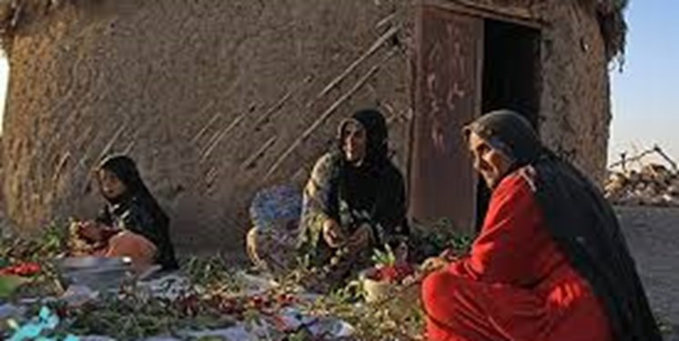 اشتغال‌ زنان سرپرست‌خانوار روستایی از طریق پرورش کرم ابریشم