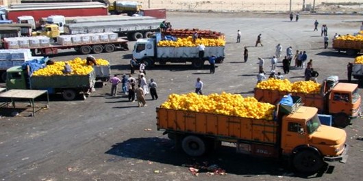 مجلس بر تخلفات وارداتی و صادراتی محصولات کشاورزی ورود می‌کند