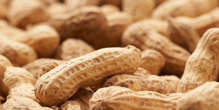 درمان آلرژی به بادام زمینی با پروتئین بادام زمینی