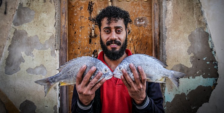 تعیین مراکز ۲۱ گانه توزیع «ماهی» در شهر بندرعباس
