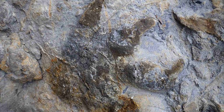 آثار ردپای دایناسور 240 میلیون ساله در گلستان