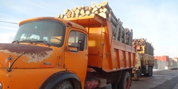 کشف و ضبط 3 تن چوب قاچاق در شهرستان میانه
