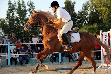 مسابقات پرش با اسب در کیش