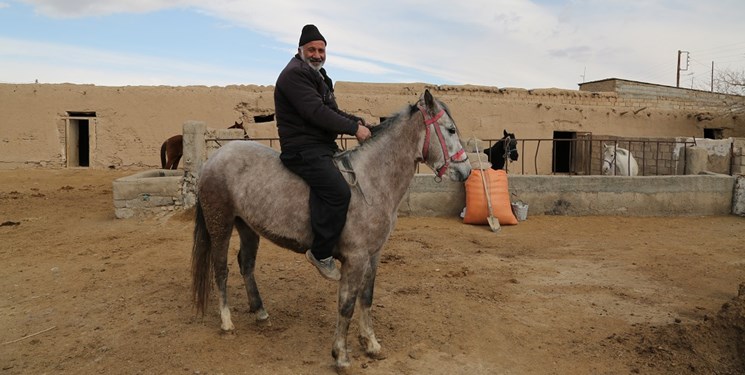 پرورش اسب در دل روستایی کوچک+ تصاویر