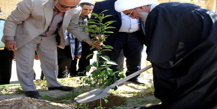 کاشت نهال توسط نماینده ولی فقیه در استان بوشهردر هفته منابع طبیعی