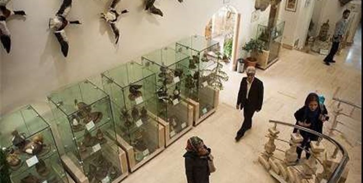 بازدید از موزه تاریخ طبیعی ایلام در ایام نوروز رایگان شد