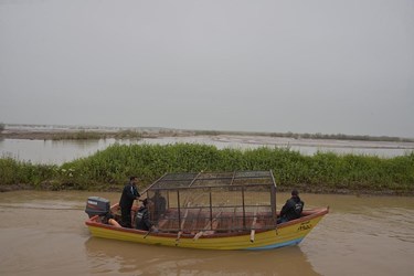 جمعه ی جهادی