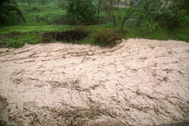 بارش شدید باران و طغیان رودخانه‌ها در کلات 