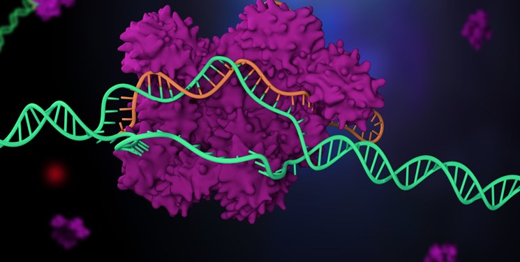 بیماران سرطانی به کمک «مهندسی ژنتیک» درمان می‌شوند