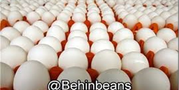 در اطلاعیه‌ای اعلام شد: سازمان حمایت با گران‌فروشان تخم‌مرغ برخورد می‌کند