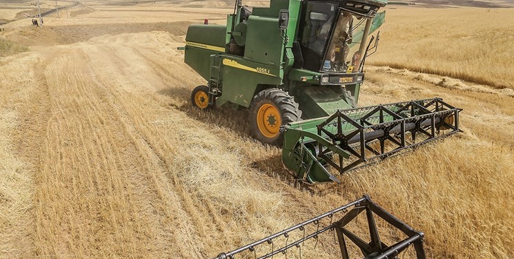 خودکفایی در تولید گندم برای چهارمین سال متوالی/ پرداخت ۳۳۰۰ میلیارد تومان به گندم‌کاران