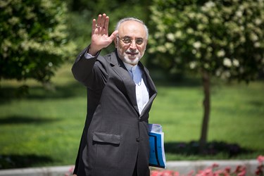 علی اکبر صالحی رئیس سازمان انرژی اتمی در حاشیه جلسه هیأت دولت