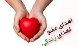 اهدای اعضای جوان دهگلانی به چند بیمار جان دوباره بخشید/اهدای اعضای 47 بیمار مرگ مغزی در استان