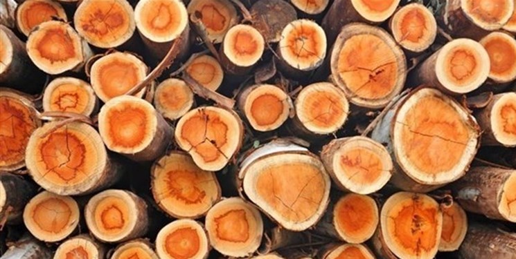 کشف 10 تن چوب از یک خانه در سمنان