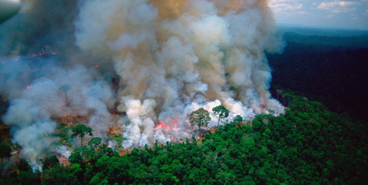 انتقاد برزیل از اظهارات ماکرون درباره آتش سوزی جنگل‌های آمازون
