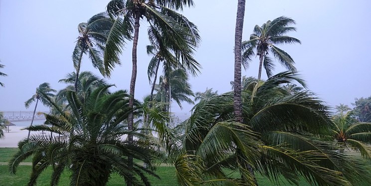 طوفان خطرناک «دوریان» مسیر ساحل شرقی آمریکا را در پیش گرفت+عکس و فیلم