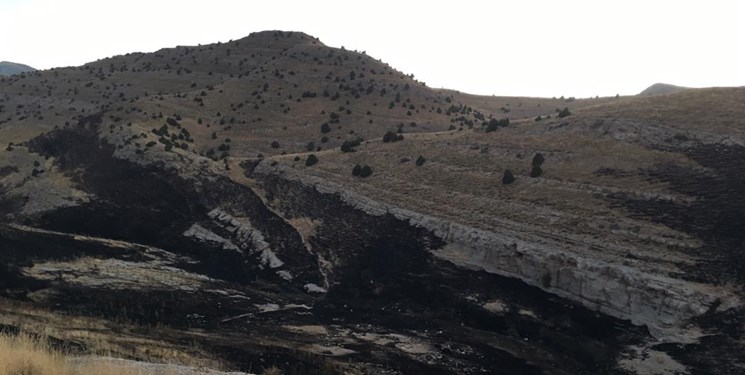 آتش سوزی 15 هکتار از اراضی حفاظت شده تندوره/ 35 اصله درخت در آتش سوخت