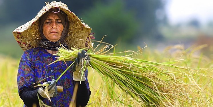اجرای طرح‌های توسعه کشاورزی زنان روستایی در سمنان