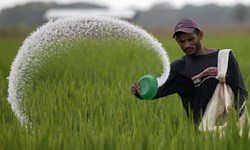 کشاورزان امسال نگران تأمین کود شیمیایی نباشند/ توزیع بیش از ۳۱ هزار و ۳۱۸ تن کود شیمیایی در قزوین