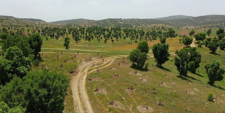 احیای جنگل‌ها، مراتع، گونه‌های جانوری و گیاهی کردستان با اجرای طرح بوم‌سازگان زاگرس